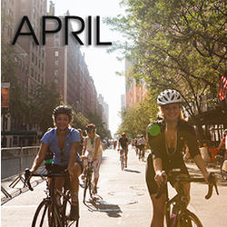 Bicycle Habitat Rentals for: April