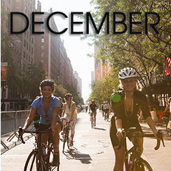Bicycle Habitat Rentals for December