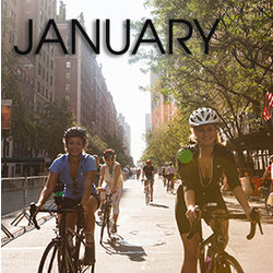 Bicycle Habitat Rentals for January