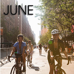 Bicycle Habitat Rentals for June