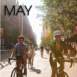 Bicycle Habitat Rentals For May 