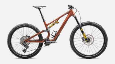 Specialized Stumpjumper 15 Ohlins Coil